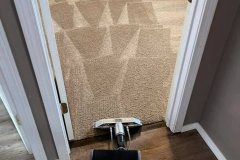 Master-Carpet-Cleaning-12