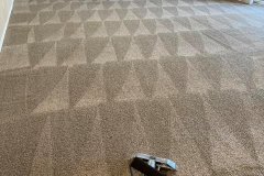 Master-Carpet-Cleaning-16