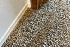 Master-Carpet-Cleaning-4
