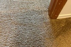 Master-Carpet-Cleaning-6