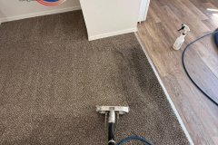 WhatsApp-Image-2026-01-10-at-4.42.55-PM-1