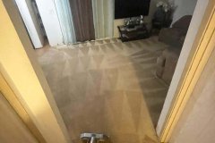 WhatsApp-Image-2022-03-11-at-12.33.11-PM-1