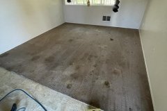 WhatsApp-Image-2022-03-22-at-1.12.07-PM