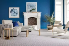carpet-cleaning-01